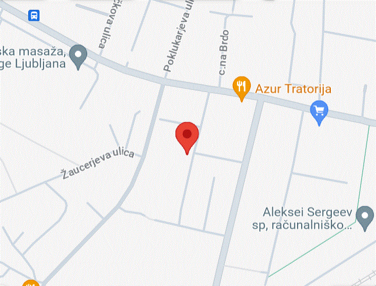 Google Maps Location